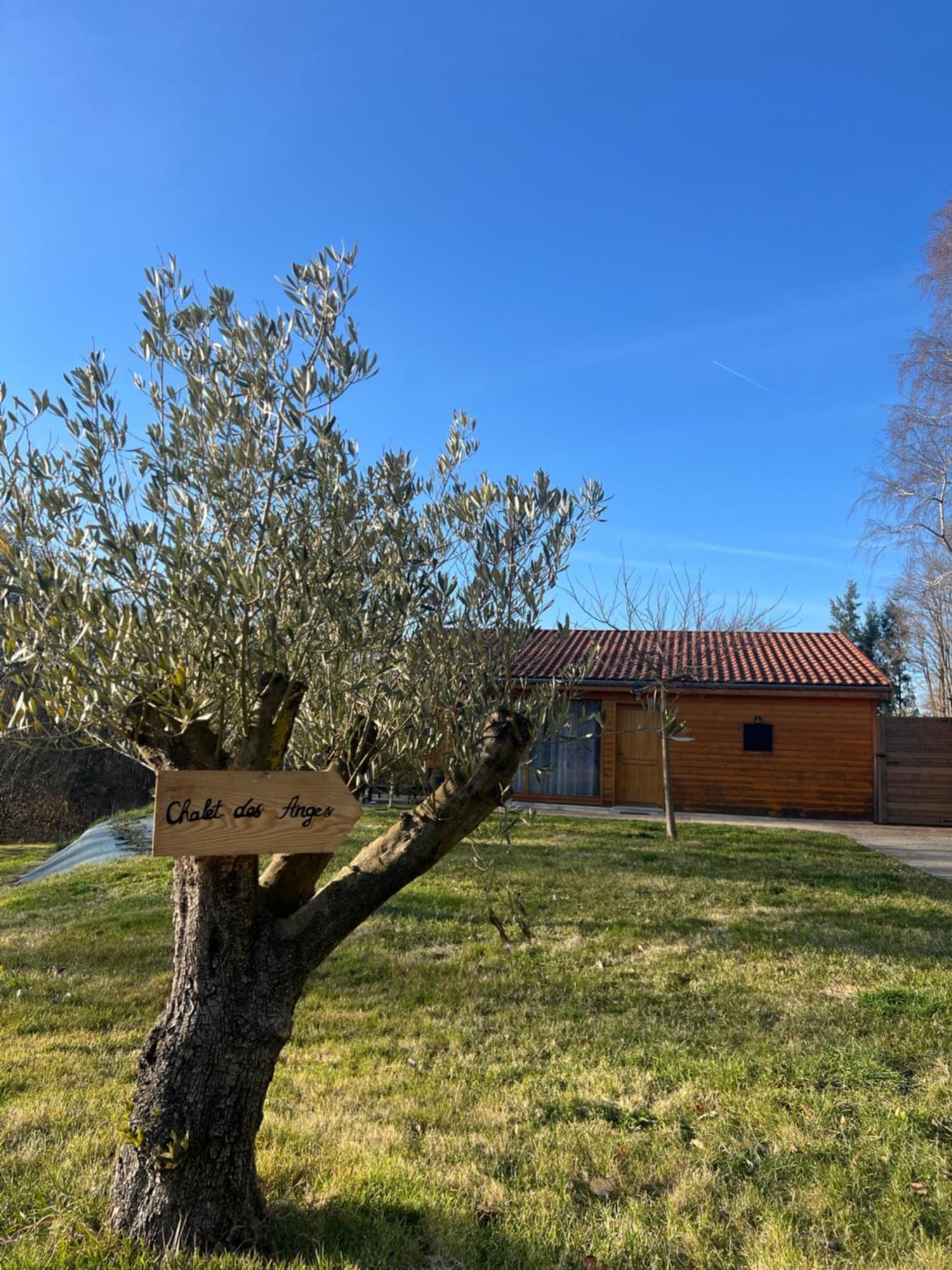 Chalet Des Anges Youx Екстериор снимка